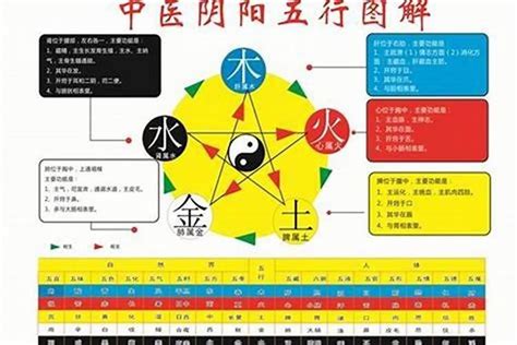 城 五行|城的五行属性